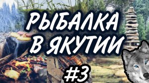 Рыбалка в Якутии часть третья , готовлю на камне , лесная кухня , жарю картошку на палке