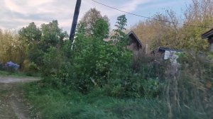 Данево. Касимовский р-н. Рязанская обл