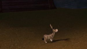 Баг в игре Шрек 2