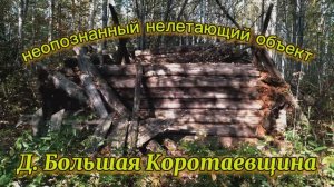 Деревня Большая Коротаевщина, неопознанный нелетающий объект.mp4