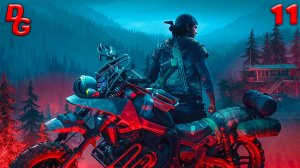 Days gone (Жизнь после) // Часть 11 // Зацепка в поисках жены, новая собака Бухаря