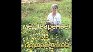 Одуванчиковый мёд варенье из одуванчиков