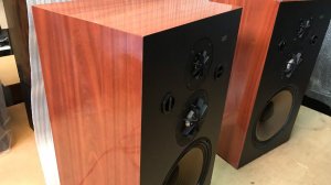 Акустика Pioneer CS-T7-Обзор.