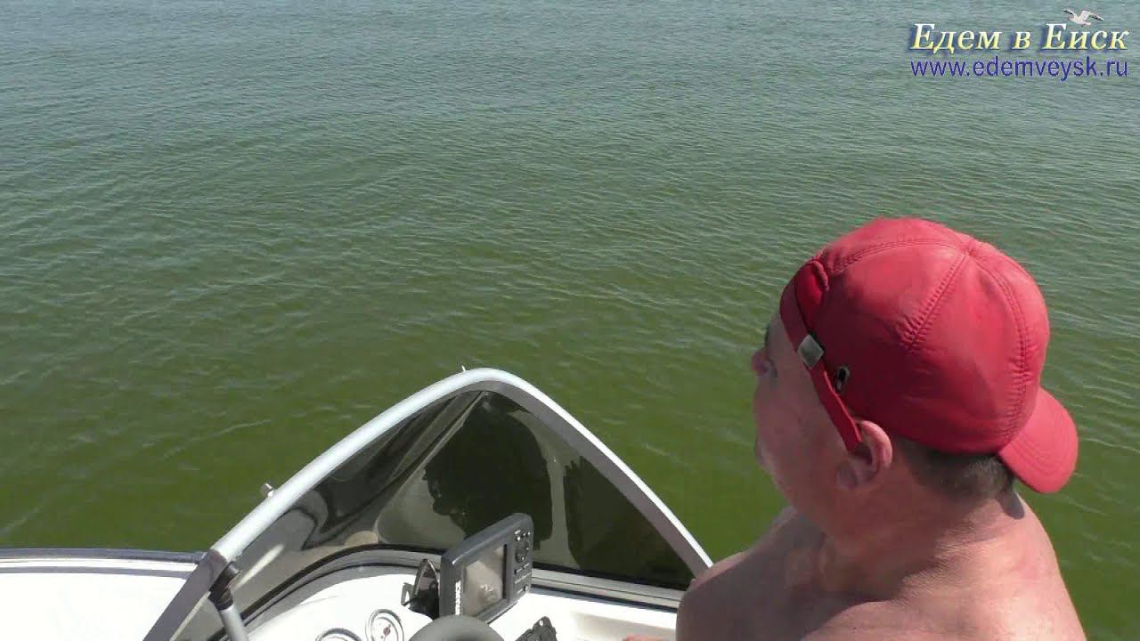 Ейск: экскурсия на Птичий остров!