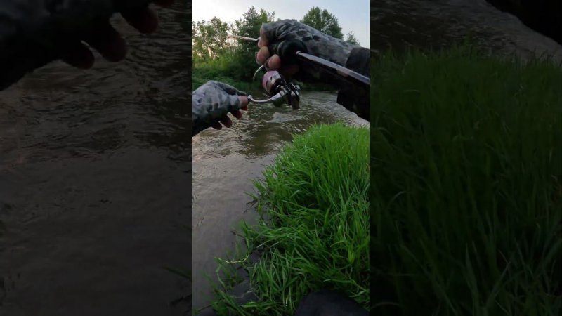 Спиннинг в дугу от мощной поклёвки голавля  #shorts #norstream #jackall #microtappy #chub #голавль