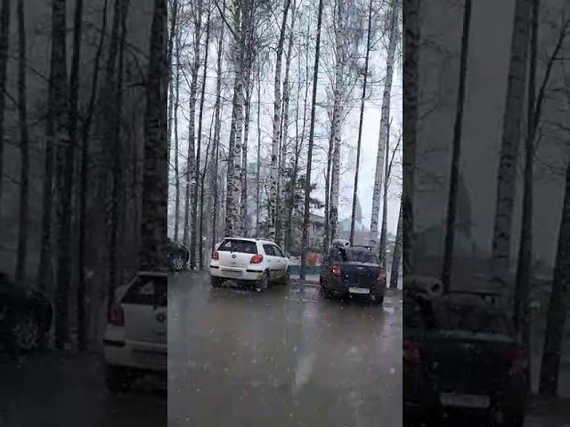 Снег 25апр