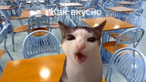 Как я хожу в школу история с мемными котами (3 часть).