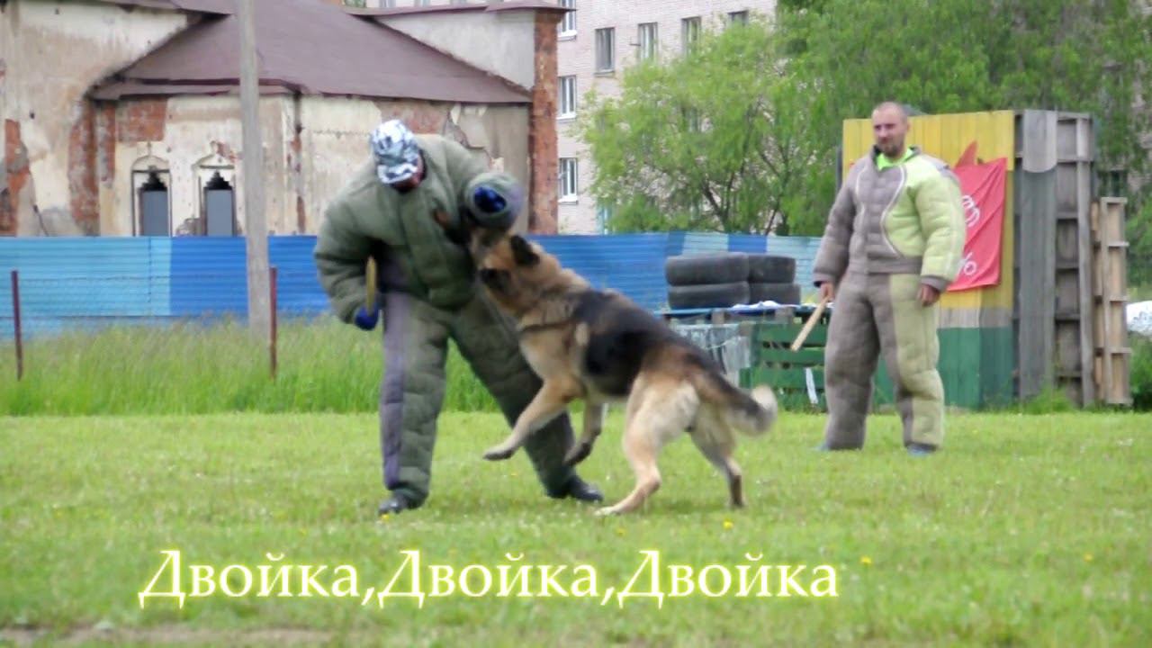 БРР  Барвиттера ПАХАН г.Пушкин.