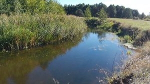 Сплав по реке Эсса