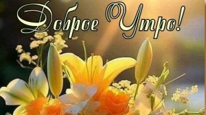 Позитива и добра прямо с самого утра💖 Доброе утро 💝