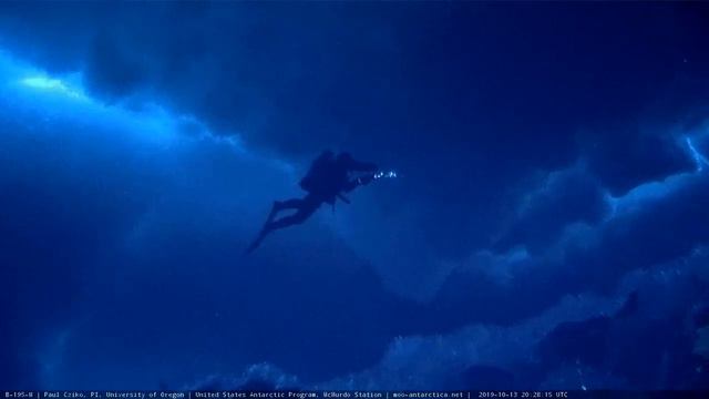 Antarctica LIVE underwater video - McMurdo Oceanographic Observatory смотреть онлайн