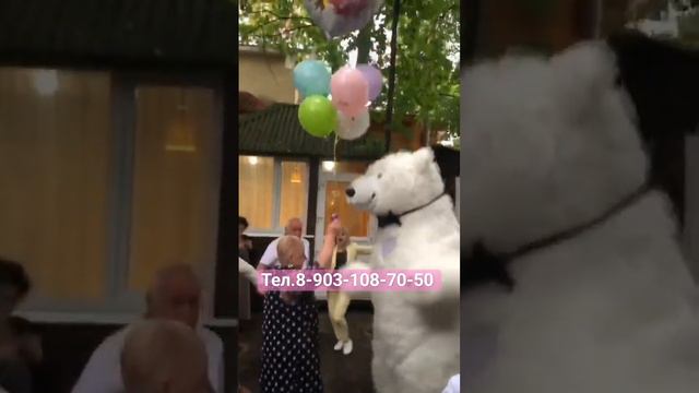 Белый мишка на юбилее🥳🥳🥳🤩🤩🤩#белыймишка #поздравление #деньрождения #юбилей #большойбелыймишка