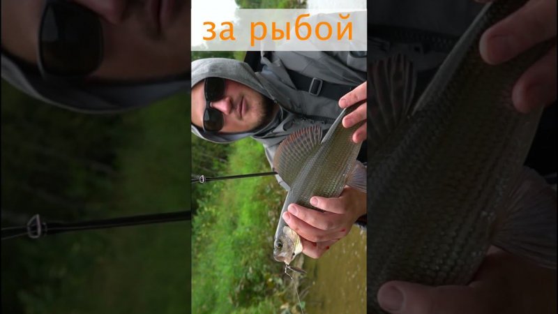 Зачем ехать на Север? #norstream #fishing #рыбалка #хариус