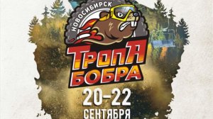 Твой уровень - ЖЕЛЕЗО!