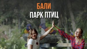 Парк Птиц на Бали! Смотрим вместе с @chiko.travel