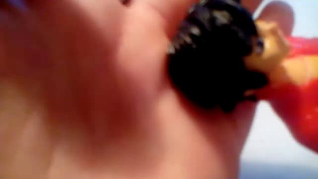 Видео обзор на игрушки ледибаг и супер кот смотреть онлайн