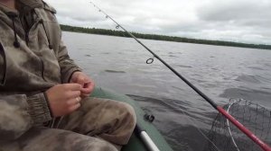 Бешеный клёв щуки, оз. Скорбеж 18 07 2020