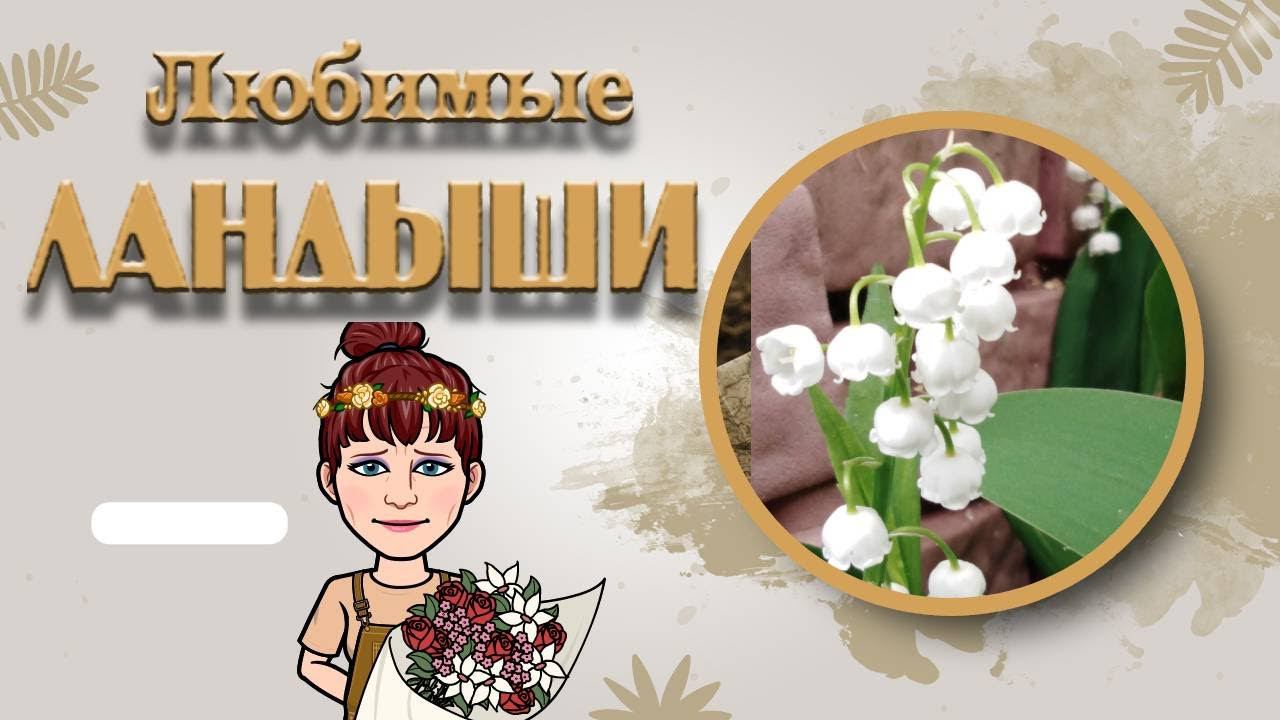 Любимые ландыши