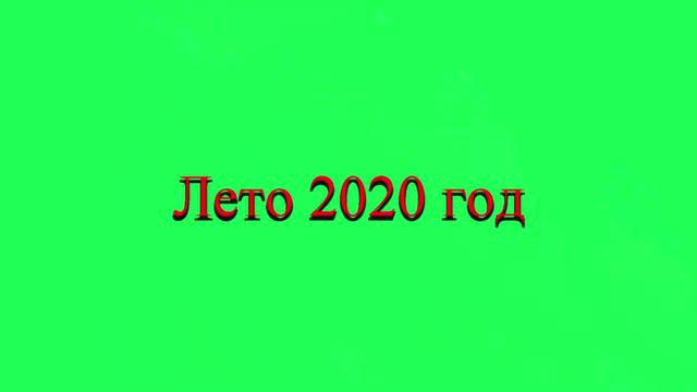 Лето 2020 год