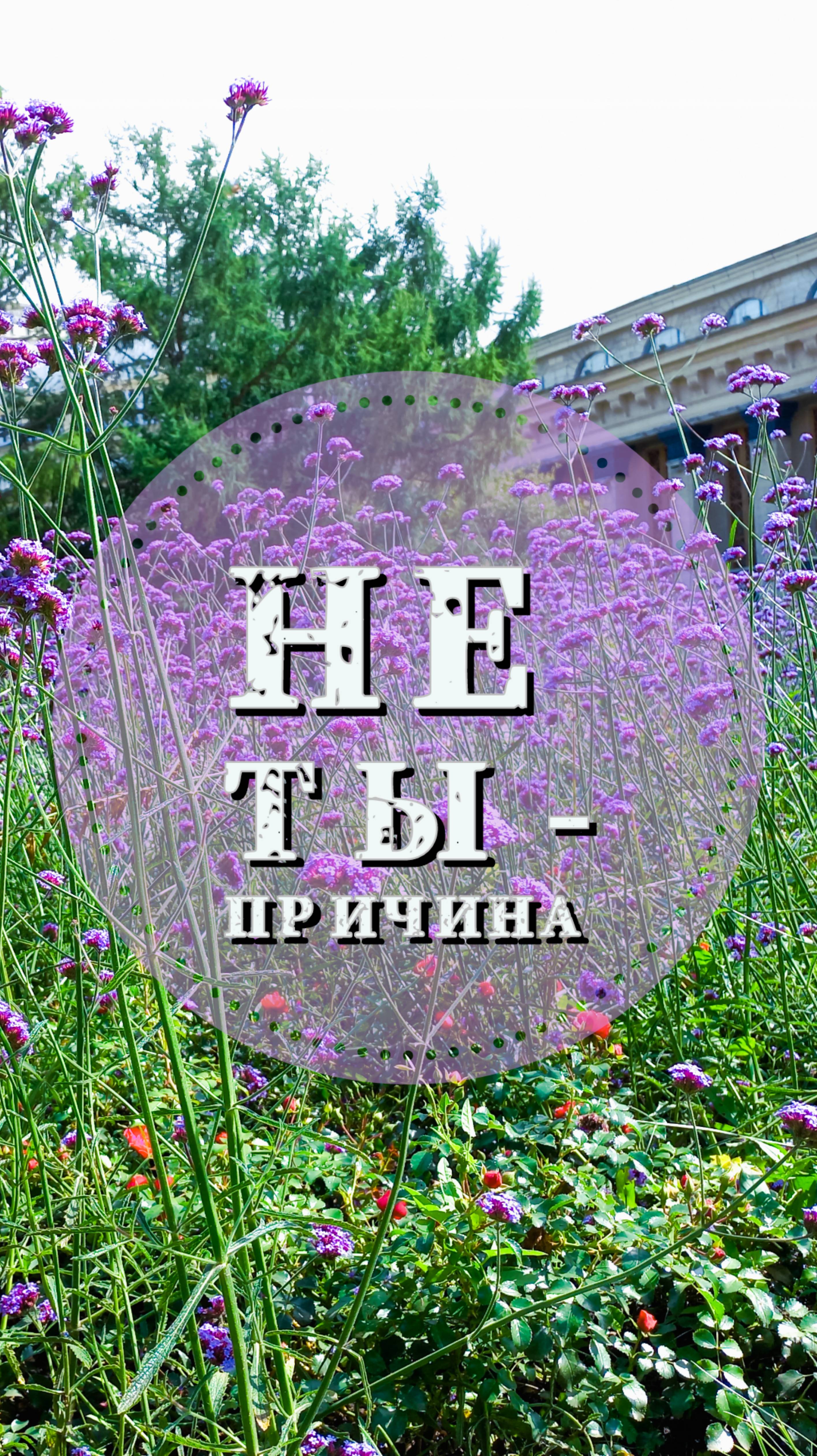 Не ты - причина #shorts