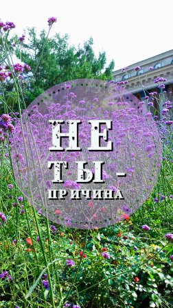 Не ты - причина #shorts