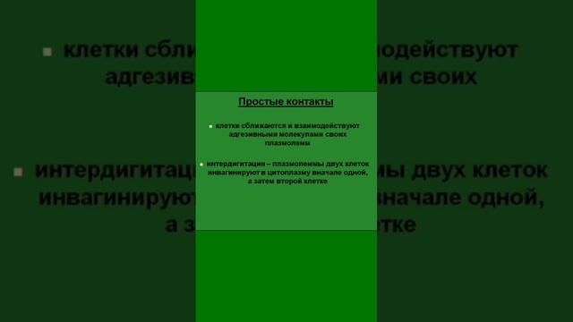 Простые межклеточные контакты