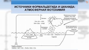«Мир РНК» / Михаил Никитин
