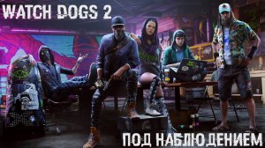 Прохождение Watch Dogs 2: Под наблюдением