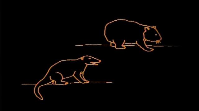 Космос- 02 - Один голос в космической фуге