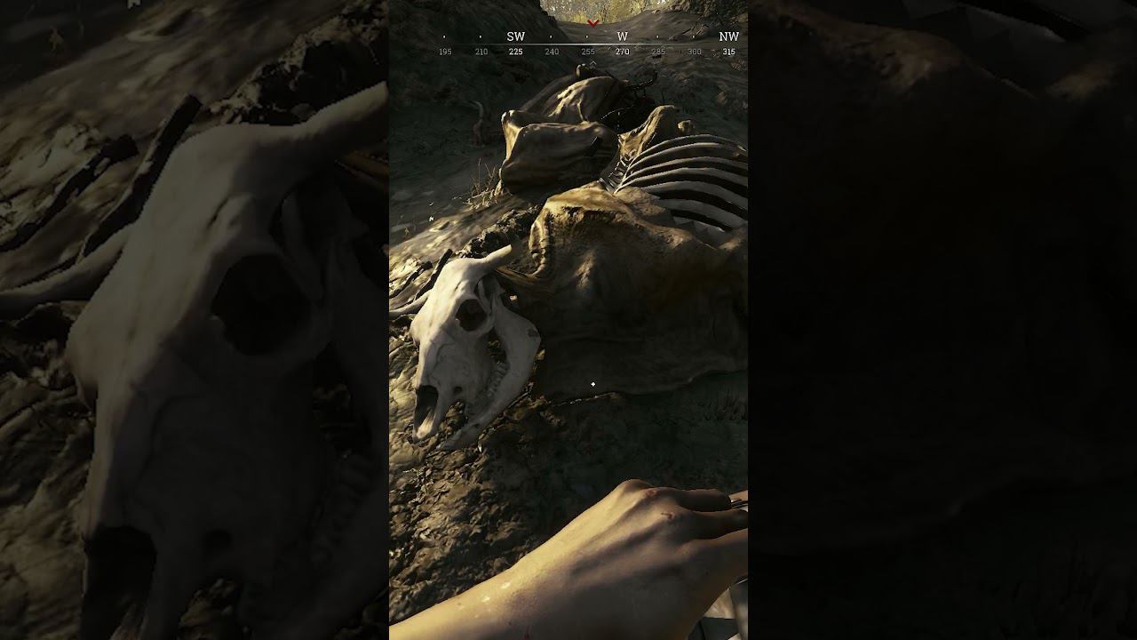 Графика (Ультра vs Низкие) | Graphics (Ultra vs Low)