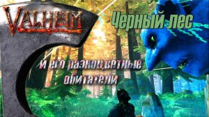 Черный лес и его разноцветные обитатели. Valheim #2