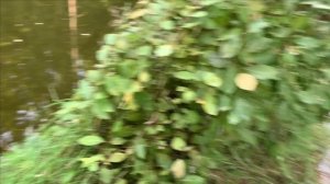 Фильтр для пруда своими руками.Собираем.