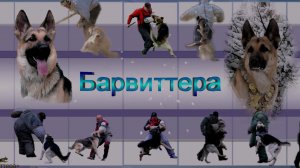 РЕКЛАМА ПИТОМНИКА