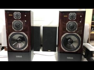 NS-2000