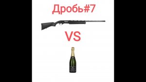 МР155 vs Бутылка шампанского! Дробь #7. Дистанция 35 метров. Чок Прогресс.