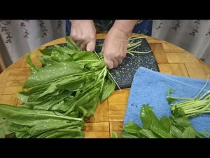 Варенье из щавеля,  начинка для булочек и пирожков