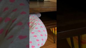 Поля застряла в шкафу и не хочет вылезать.