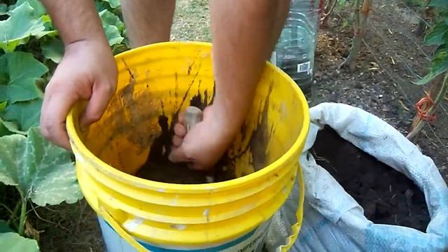 abonado de la tierra para nuestro huerto en casa totalmente ecologico смотреть онлайн