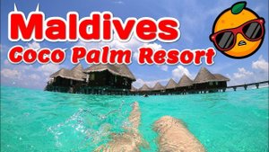 Maldives | Гуляем в Coco Palm Resort. Part 3