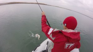 Рыбалка на джерк щука и окунь не может устоять