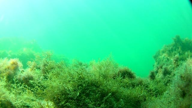 Красота осеннего Черного моря. смотреть онлайн