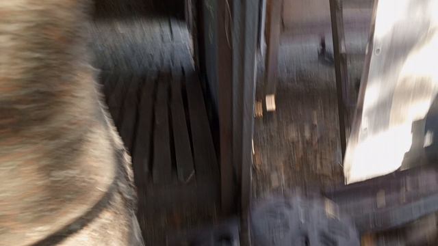 сколько осталось зерна и сена в моём хозяйстве