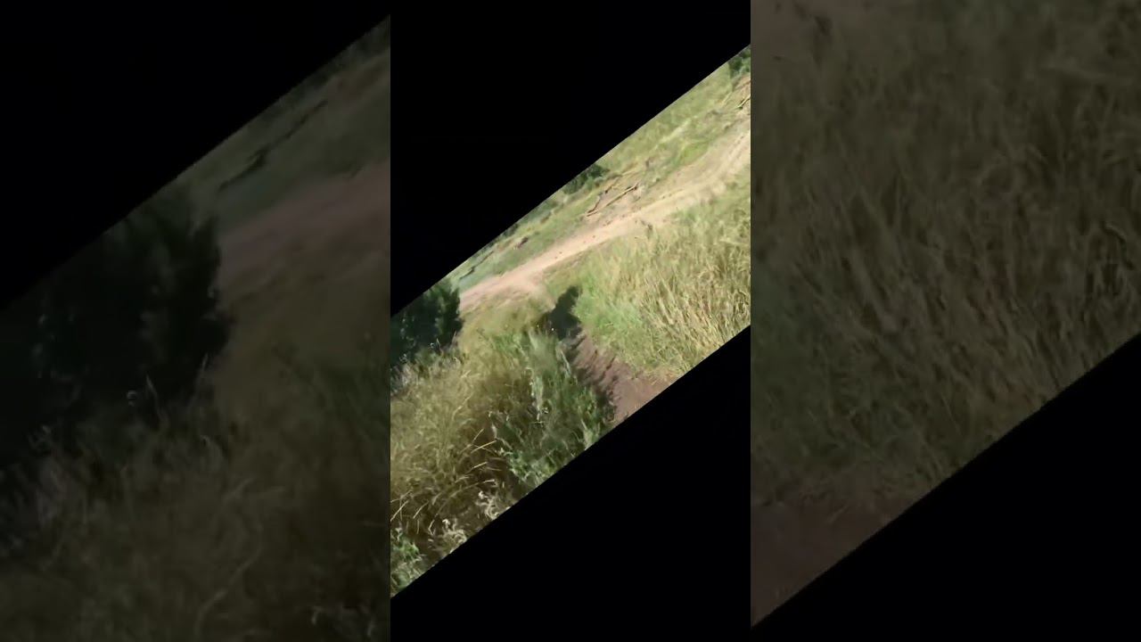 9 мая 2024 г.