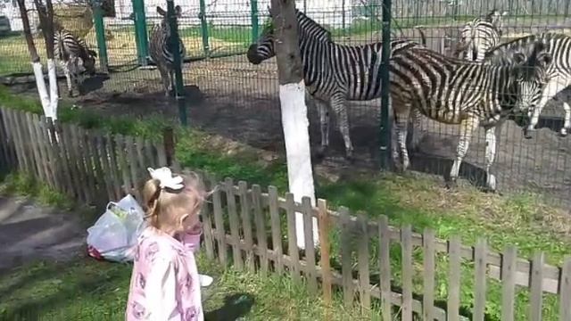 Путешествие в мир животных! Старооскольский зоопарк! смотреть онлайн