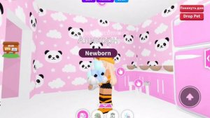 открыла 10 кракет яиц выпал дрим пет ?!?