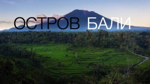 БАЛИ. ОКЕАН. ВУЛКАН. РИС. СЕРФИНГ. ОБЕЗЬЯНЫ