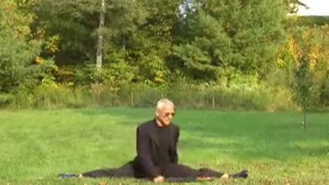 STRETCH FOR SPLITS: 1-minute side split and front split flexibility maintenance routine смотреть онлайн