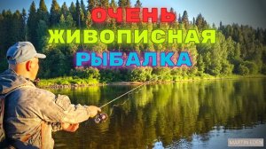 Ну ОЧЕНЬ Красиво ловить!) Ищем хищника в заводях. Здесь есть щука, окунь, хариус, язь, сёмга...