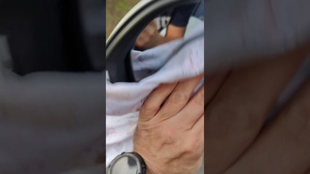 ПОСЛЕ ЭТОГО Ваши зеркала будут чистые ДОЛГО 🔥