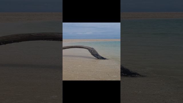 Puka Beach Boracay Philippines смотреть онлайн